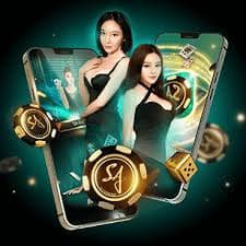 pvp888 লাইভ রামি টেবিলে কার্ড বিতরণের দৃশ্য